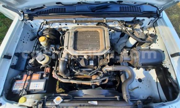 Tenga Tsaru Nissan Hardbody Chena Mota in Beitbridge in Matabeleland South Tenga Tsaru Nissan Hardbody Chena Mota in Beitbridge in Matabeleland South