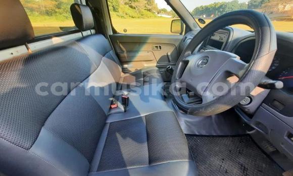 Tenga Tsaru Nissan Hardbody Chena Mota in Beitbridge in Matabeleland South Tenga Tsaru Nissan Hardbody Chena Mota in Beitbridge in Matabeleland South