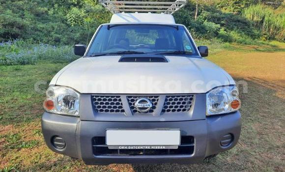 Tenga Tsaru Nissan Hardbody Chena Mota in Beitbridge in Matabeleland South Tenga Tsaru Nissan Hardbody Chena Mota in Beitbridge in Matabeleland South