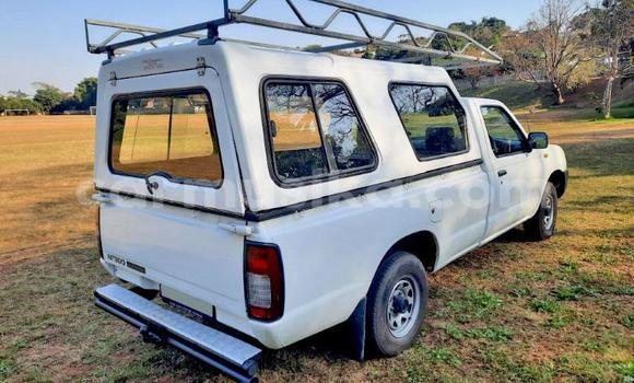 Tenga Tsaru Nissan Hardbody Chena Mota in Beitbridge in Matabeleland South Tenga Tsaru Nissan Hardbody Chena Mota in Beitbridge in Matabeleland South