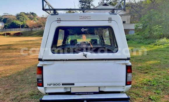 Tenga Tsaru Nissan Hardbody Chena Mota in Beitbridge in Matabeleland South Tenga Tsaru Nissan Hardbody Chena Mota in Beitbridge in Matabeleland South