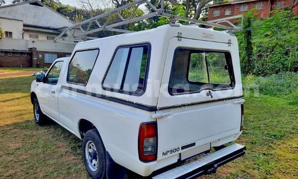 Tenga Tsaru Nissan Hardbody Chena Mota in Beitbridge in Matabeleland South Tenga Tsaru Nissan Hardbody Chena Mota in Beitbridge in Matabeleland South