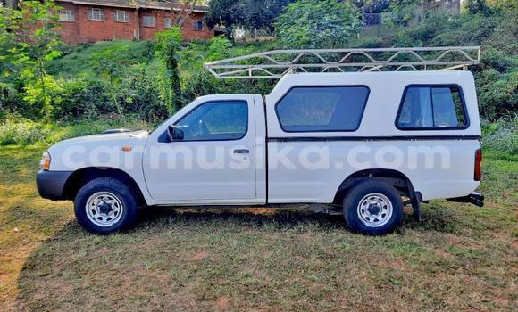 Tenga Tsaru Nissan Hardbody Chena Mota in Beitbridge in Matabeleland South Tenga Tsaru Nissan Hardbody Chena Mota in Beitbridge in Matabeleland South