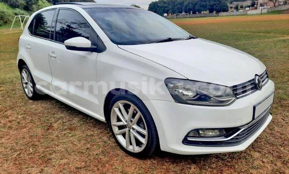 Buy Used Volkswagen Polo GTI Other Car in Beitbridge in Matabeleland South Buy Used Volkswagen Polo GTI Other Car in Beitbridge in Matabeleland South