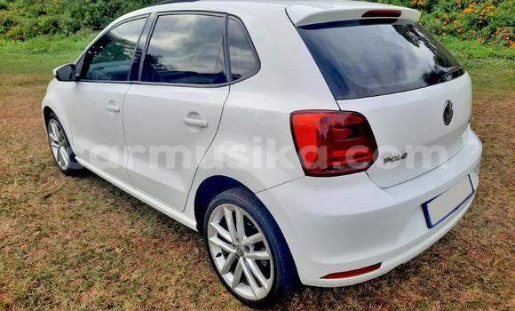 Buy Used Volkswagen Polo GTI Other Car in Beitbridge in Matabeleland South Buy Used Volkswagen Polo GTI Other Car in Beitbridge in Matabeleland South
