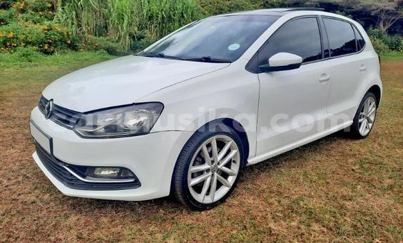 Buy Used Volkswagen Polo GTI Other Car in Beitbridge in Matabeleland South Buy Used Volkswagen Polo GTI Other Car in Beitbridge in Matabeleland South