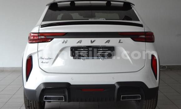Buy Used Haval H6 Coupe White Car in Beitbridge in Matabeleland South