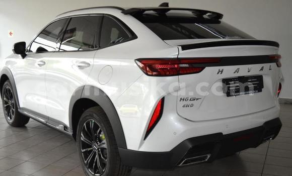 Buy Used Haval H6 Coupe White Car in Beitbridge in Matabeleland South Buy Used Haval H6 Coupe White Car in Beitbridge in Matabeleland South