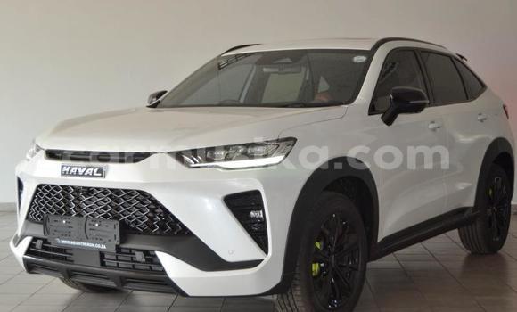 Buy Used Haval H6 Coupe White Car in Beitbridge in Matabeleland South Buy Used Haval H6 Coupe White Car in Beitbridge in Matabeleland South