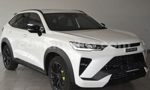 Buy Used Haval H6 Coupe White Car in Beitbridge in Matabeleland South Buy Used Haval H6 Coupe White Car in Beitbridge in Matabeleland South