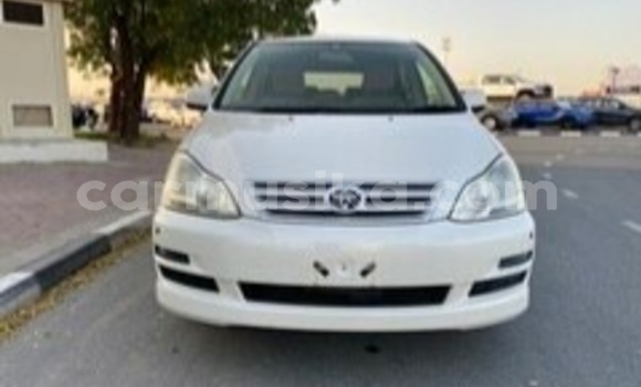 Nunua Ilio tumika Toyota Ipsum Nyeupe Gari ndani ya Beitbridge nchini Matabeleland Kusini