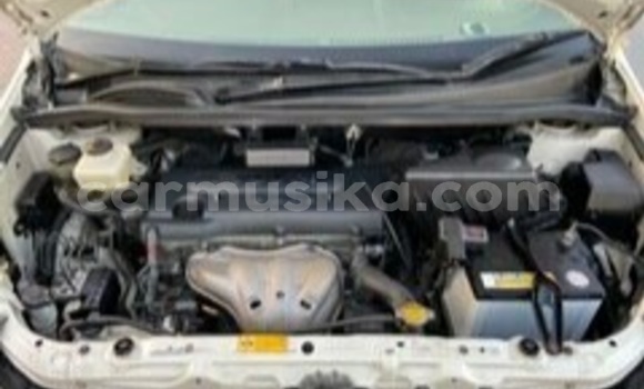 Tenga Tsaru Toyota Ipsum Chena Mota in Beitbridge in Matabeleland South Tenga Tsaru Toyota Ipsum Chena Mota in Beitbridge in Matabeleland South