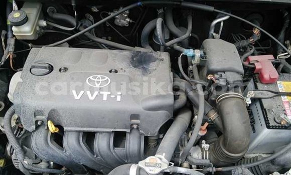 Buy Used Toyota FunCargo Black Car in Beitbridge in Matabeleland South Buy Used Toyota FunCargo Black Car in Beitbridge in Matabeleland South