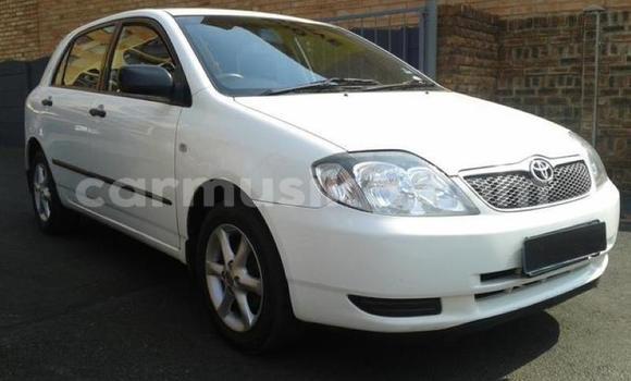 Tenga Tsaru Toyota 2000GT Chena Mota in Beitbridge in Matabeleland South Tenga Tsaru Toyota 2000GT Chena Mota in Beitbridge in Matabeleland South