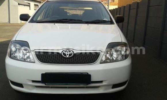 Tenga Tsaru Toyota 2000GT Chena Mota in Beitbridge in Matabeleland South Tenga Tsaru Toyota 2000GT Chena Mota in Beitbridge in Matabeleland South