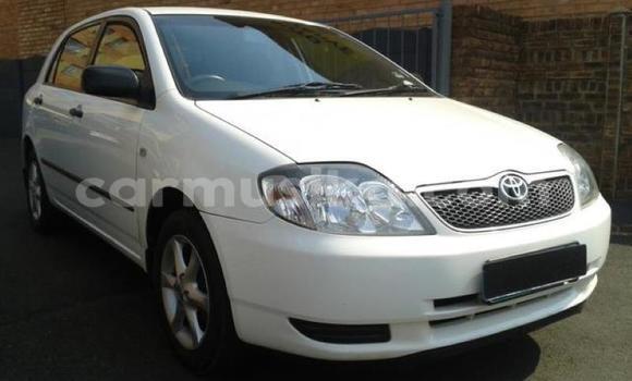 Tenga Tsaru Toyota 2000GT Chena Mota in Beitbridge in Matabeleland South Tenga Tsaru Toyota 2000GT Chena Mota in Beitbridge in Matabeleland South