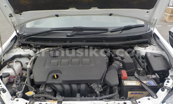 Buy Used Toyota Allion White Car in Beitbridge in Matabeleland South Buy Used Toyota Allion White Car in Beitbridge in Matabeleland South