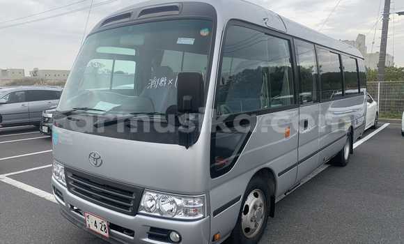 Acheter Occasion Voiture Toyota Coaster Gris à Beitbridge, Matabeleland South