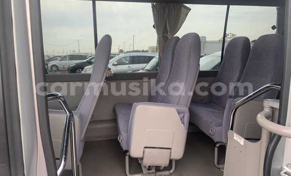 Buy Used Toyota Coaster Silver Car in Beitbridge in Matabeleland South Buy Used Toyota Coaster Silver Car in Beitbridge in Matabeleland South
