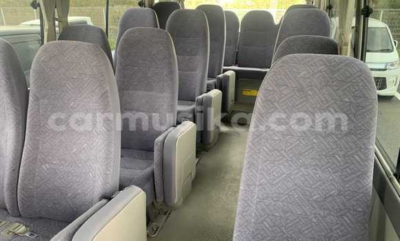 Buy Used Toyota Coaster Silver Car in Beitbridge in Matabeleland South Buy Used Toyota Coaster Silver Car in Beitbridge in Matabeleland South