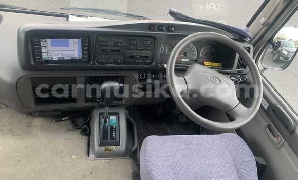 Buy Used Toyota Coaster Silver Car in Beitbridge in Matabeleland South Buy Used Toyota Coaster Silver Car in Beitbridge in Matabeleland South