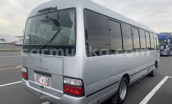Buy Used Toyota Coaster Silver Car in Beitbridge in Matabeleland South Buy Used Toyota Coaster Silver Car in Beitbridge in Matabeleland South