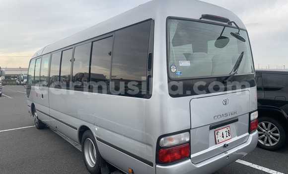 Buy Used Toyota Coaster Silver Car in Beitbridge in Matabeleland South Buy Used Toyota Coaster Silver Car in Beitbridge in Matabeleland South