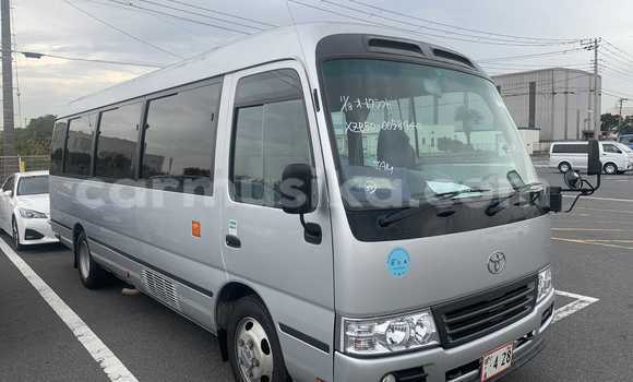 Buy Used Toyota Coaster Silver Car in Beitbridge in Matabeleland South Buy Used Toyota Coaster Silver Car in Beitbridge in Matabeleland South