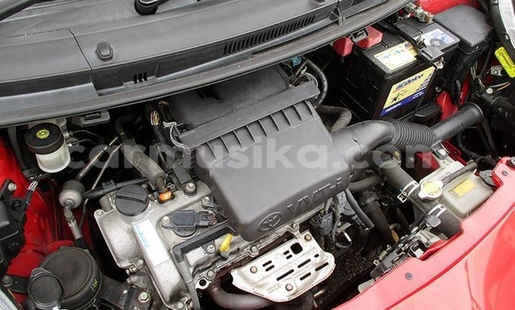 Acheter Occasion Voiture Toyota Vitz Rouge à Beitbridge, Matabeleland South Acheter Occasion Voiture Toyota Vitz Rouge à Beitbridge, Matabeleland South