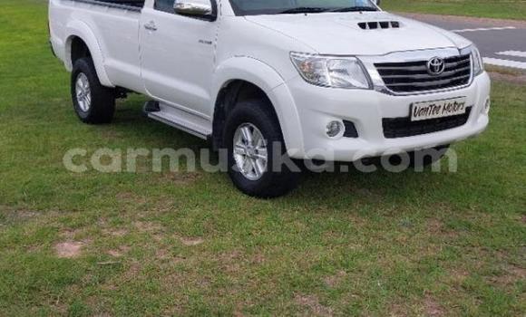 Tenga Tsaru Toyota Hilux Chena Mota in Beitbridge in Matabeleland South