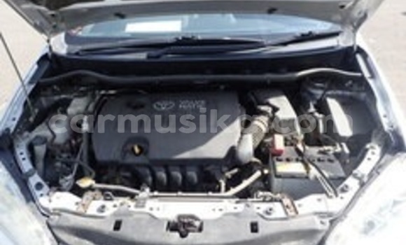 Acheter Occasion Voiture Toyota Wish Gris à Beitbridge, Matabeleland South Acheter Occasion Voiture Toyota Wish Gris à Beitbridge, Matabeleland South