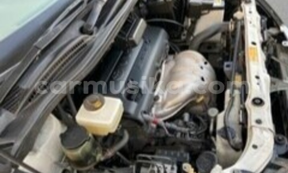 Acheter Occasion Voiture Toyota Ipsum Blanc à Beitbridge, Matabeleland South Acheter Occasion Voiture Toyota Ipsum Blanc à Beitbridge, Matabeleland South