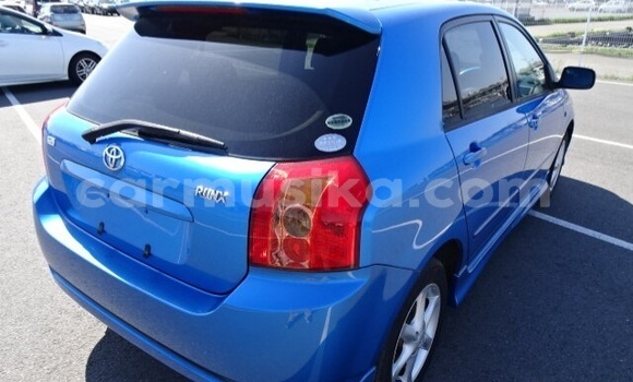 Acheter Occasion Voiture Toyota Runx Gris à Beitbridge, Matabeleland South Acheter Occasion Voiture Toyota Runx Gris à Beitbridge, Matabeleland South