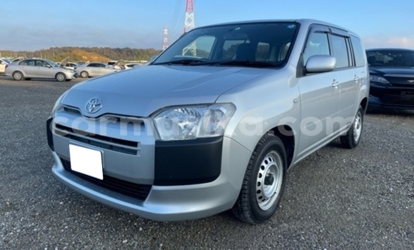 Acheter Occasion Voiture Toyota Probox Blanc à Beitbridge, Matabeleland South