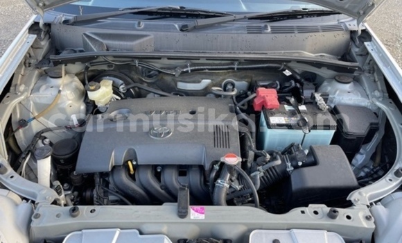 Acheter Occasion Voiture Toyota Probox Blanc à Beitbridge, Matabeleland South Acheter Occasion Voiture Toyota Probox Blanc à Beitbridge, Matabeleland South