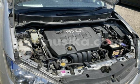 Tenga Tsaru Toyota Wish Sirivha Mota in Beitbridge in Matabeleland South Tenga Tsaru Toyota Wish Sirivha Mota in Beitbridge in Matabeleland South