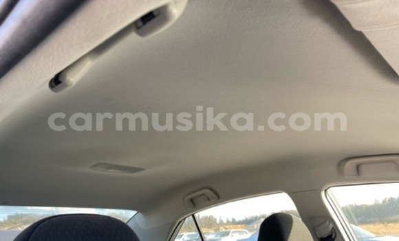 Buy Used Toyota Allion Beige Car in Beitbridge in Matabeleland South Buy Used Toyota Allion Beige Car in Beitbridge in Matabeleland South