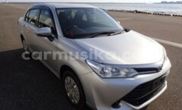 Acheter Occasion Voiture Toyota Axio Gris à Beitbridge, Matabeleland South Acheter Occasion Voiture Toyota Axio Gris à Beitbridge, Matabeleland South