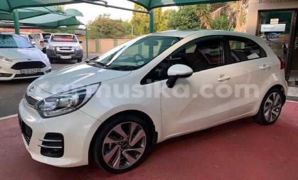Acheter Occasion Voiture Kia Rio Blanc à Beitbridge, Matabeleland South