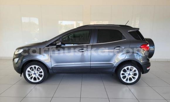 Acheter Occasion Voiture Ford EcoSport Gris à Beitbridge, Matabeleland South Acheter Occasion Voiture Ford EcoSport Gris à Beitbridge, Matabeleland South