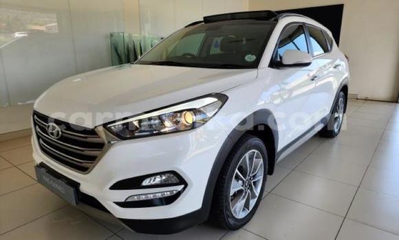 Tenga Tsaru Hyundai Tucson Chena Mota in Beitbridge in Matabeleland South