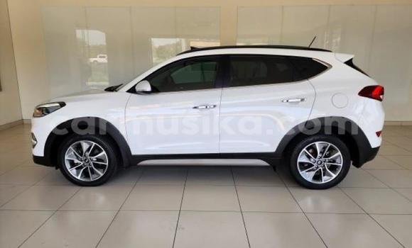 Tenga Tsaru Hyundai Tucson Chena Mota in Beitbridge in Matabeleland South Tenga Tsaru Hyundai Tucson Chena Mota in Beitbridge in Matabeleland South