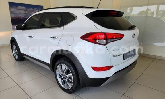 Tenga Tsaru Hyundai Tucson Chena Mota in Beitbridge in Matabeleland South Tenga Tsaru Hyundai Tucson Chena Mota in Beitbridge in Matabeleland South