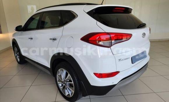 Tenga Tsaru Hyundai Tucson Chena Mota in Beitbridge in Matabeleland South Tenga Tsaru Hyundai Tucson Chena Mota in Beitbridge in Matabeleland South