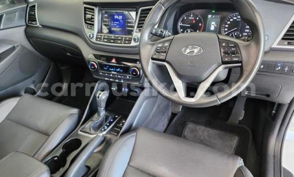 Tenga Tsaru Hyundai Tucson Chena Mota in Beitbridge in Matabeleland South Tenga Tsaru Hyundai Tucson Chena Mota in Beitbridge in Matabeleland South