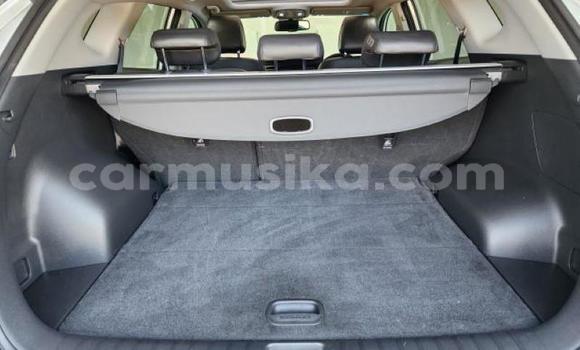 Tenga Tsaru Hyundai Tucson Chena Mota in Beitbridge in Matabeleland South Tenga Tsaru Hyundai Tucson Chena Mota in Beitbridge in Matabeleland South