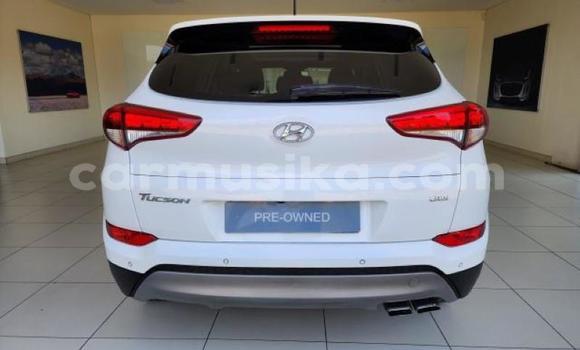 Tenga Tsaru Hyundai Tucson Chena Mota in Beitbridge in Matabeleland South Tenga Tsaru Hyundai Tucson Chena Mota in Beitbridge in Matabeleland South