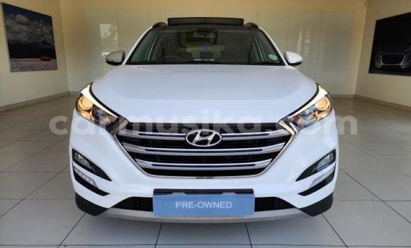 Tenga Tsaru Hyundai Tucson Chena Mota in Beitbridge in Matabeleland South Tenga Tsaru Hyundai Tucson Chena Mota in Beitbridge in Matabeleland South