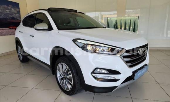 Tenga Tsaru Hyundai Tucson Chena Mota in Beitbridge in Matabeleland South Tenga Tsaru Hyundai Tucson Chena Mota in Beitbridge in Matabeleland South