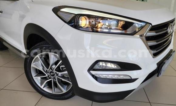Tenga Tsaru Hyundai Tucson Chena Mota in Beitbridge in Matabeleland South Tenga Tsaru Hyundai Tucson Chena Mota in Beitbridge in Matabeleland South